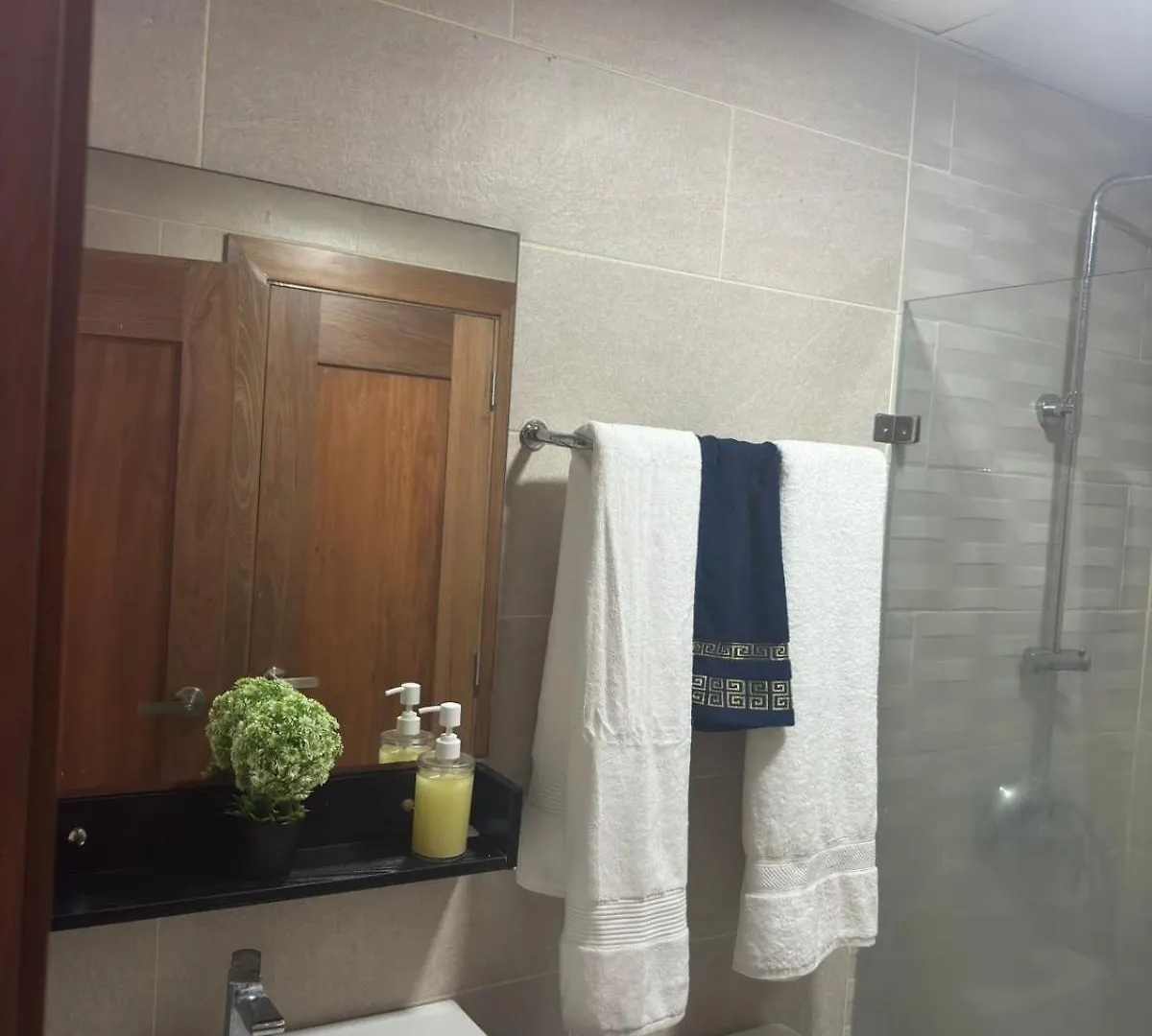 Hermoso Apartamento Acogedor Con Piscina A Dos Minutos De Blue Mall Santo Domingo Apartman